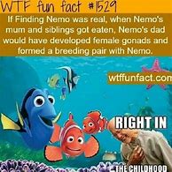 Image result for Funny Movie Sayings