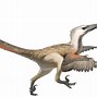Image result for Jurassic Park Velociraptor Raptor