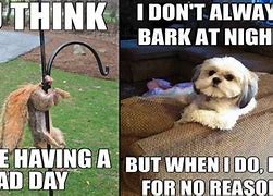 Image result for Bad Day Humor