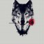 Image result for Animated Wolf iPhone Wallpaper