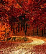 Image result for Fall Wallpaper