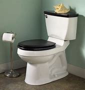 Image result for Toilet Use