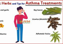 Image result for Ayurvedic Medicine for Asthma Treatment