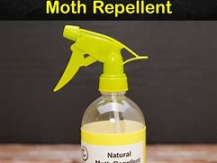 Image result for Best Natural Moth Repellent