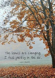 Image result for Random Thoughts of the Day for Fall Time