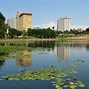 Image result for Lakeland Florida Things to Do