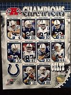 Image result for Indianapolis Colts AFC Champions
