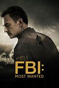 Image result for FBI Most Wanted Series