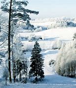 Image result for Latvia Climate