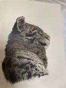 Image result for Clouded Leopard Art