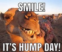 Image result for Hump Day Quotes Wednesdays