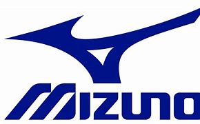 Résultat d’images pour mizuno logo