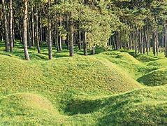 Image result for French Trenches WW1