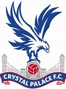 Image result for crystal palace fc