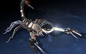 Image result for Cool Scorpion Pics