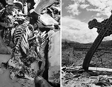Image result for Hiroshima Casualties