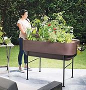 Image result for Raised Indoor Planters
