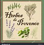 Image result for Free Clip Art Herbes De Provence