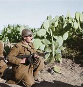 Image result for Algerian War Movie