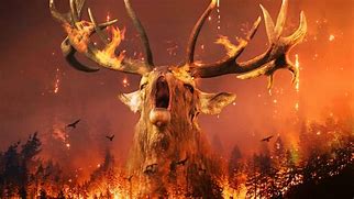 Image result for Wildfire 4K Wallpaper