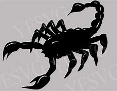 Image result for Abstract Scorpion SVG