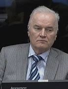 Image result for Mladić