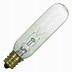 Image result for Special Light Bulbs