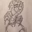 Image result for Scorpion Tattoo Pencil Drawings