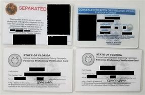 Image result for Police Credentials