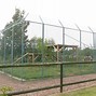 Image result for Tiger Zoo Enclosure