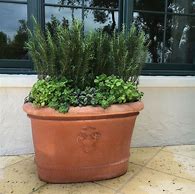 Image result for 10.13" Indoor/Outdoor Stoneware Planter Terracotta - Smith 