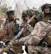 Image result for Latvian Military Aid