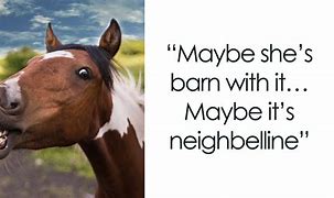 Image result for Stupid Looking Horse