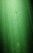 Image result for Submersible Fish Tank Filters