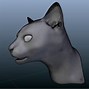 Image result for Cat Face Models