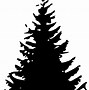 Image result for Silhouette of Cedar Bough