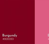 Image result for Burgundy Sweatshirt