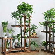 Image result for 5 Tier Wooden Plant Stand