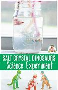 Image result for Dinosaur Experiment