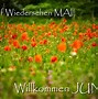 Image result for Willkommen Juni Bilder