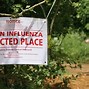 Image result for Avian Influenza Disease