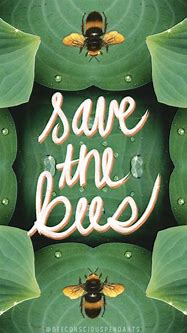 Image result for Save the Bees Wallpaper