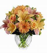 Image result for FTD Brighten Your Day