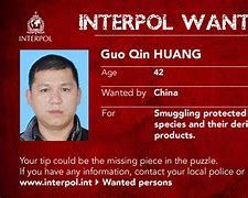 Image result for Interpol Most Wanted Fugitives