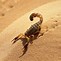 Image result for Scorpion Art HD