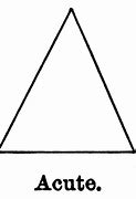 Image result for acute triangle