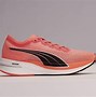 Image result for Puma Releases 2021