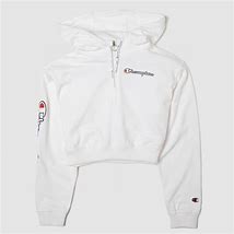 Image result for Champion Cropped Hoodie Urban Outfitters