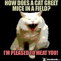 Image result for Cat and Mouse Jokes