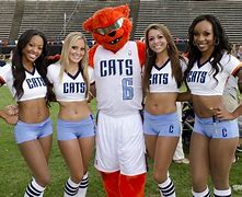 Image result for Cheer Athletics Bobcats
